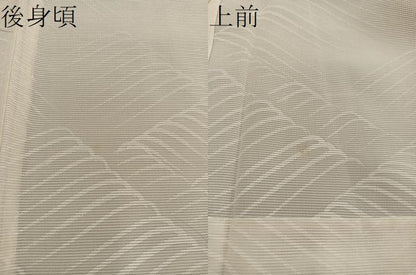平和屋着物＊夏物　訪問着　絽　地紙重ね秋草文　正絹　逸品　BAAX8121mz