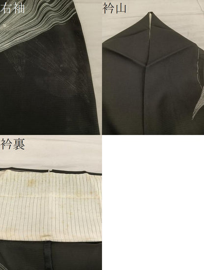 平和屋着物＊夏物　訪問着　絽　駒刺繍　草葉文　黒地　正絹　逸品　BAAX8129mz