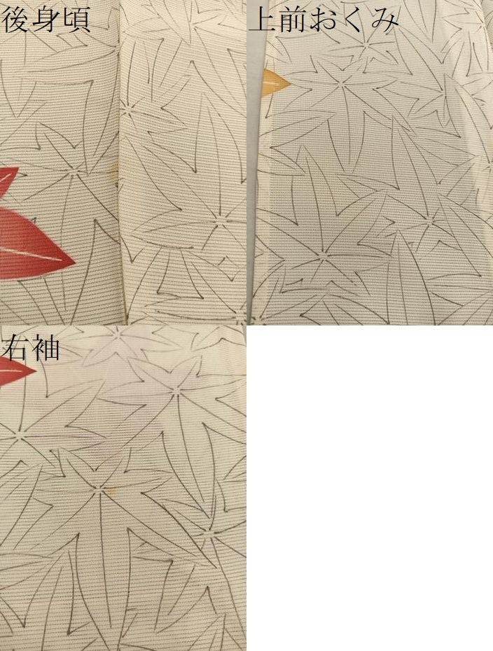 平和屋着物＊夏物　小紋　絽　楓文　正絹　逸品　BAAX8131mz