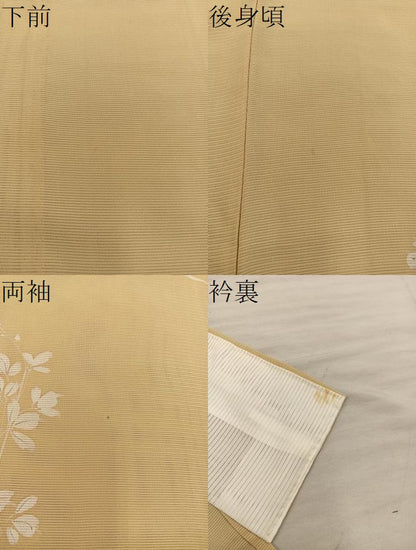 平和屋着物＊夏物　小紋　絽　枝葉文　正絹　逸品　BAAX8134mz