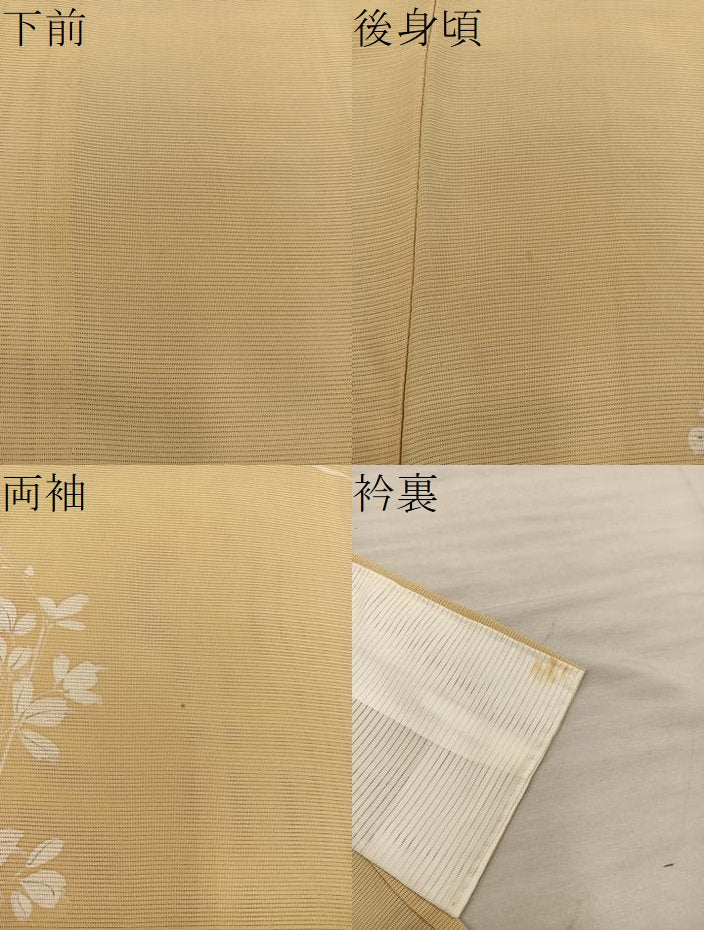 平和屋着物＊夏物　小紋　絽　枝葉文　正絹　逸品　BAAX8134mz