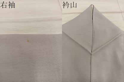 平和屋着物＊夏物　訪問着　絽　草葉文　暈し染め　正絹　逸品　BAAX8135mz