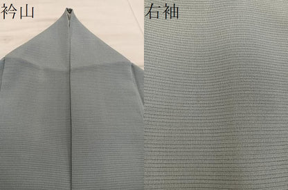 平和屋着物＊夏物　訪問着　絽　友禅　草花文　正絹　逸品　BAAX8138mz