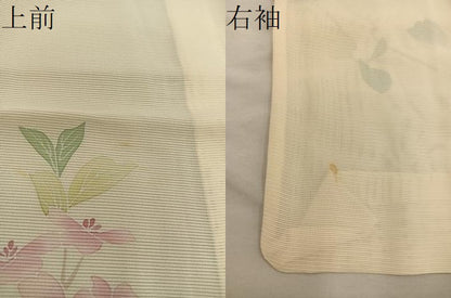 平和屋着物＊夏物　訪問着　絽　枝花文　正絹　逸品　BAAX8146mz