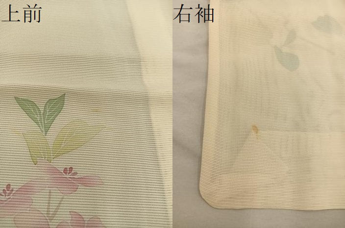 平和屋着物＊夏物　訪問着　絽　枝花文　正絹　逸品　BAAX8146mz