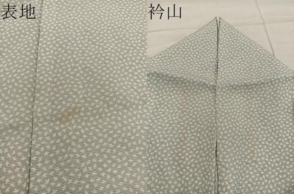 平和屋着物＊夏物　江戸小紋　絽　幾何学文様　正絹　逸品　BAAX8148mz