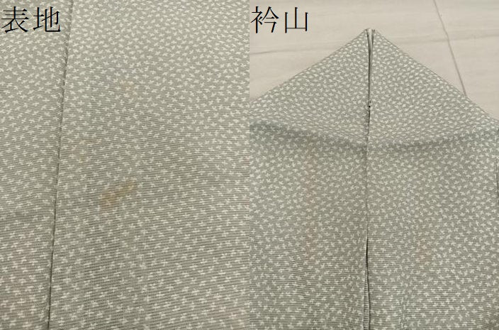 平和屋着物＊夏物　江戸小紋　絽　幾何学文様　正絹　逸品　BAAX8148mz
