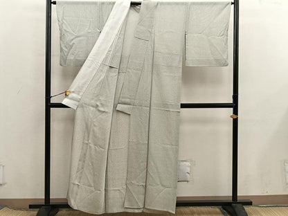 平和屋着物＊夏物　江戸小紋　絽　幾何学文様　正絹　逸品　BAAX8148mz