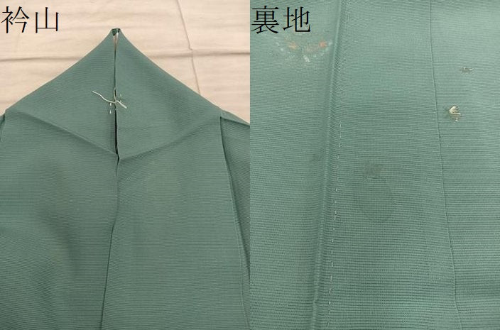 平和屋着物＊夏物　訪問着　絽　かんざし　舞蝶花文　正絹　逸品　BAAX8150mz