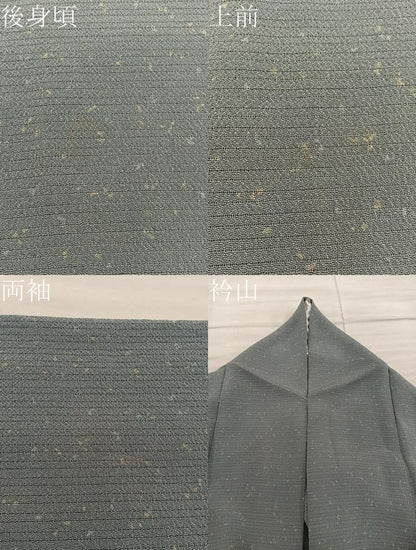 平和屋着物＊夏物　小紋　絽縮緬　幾何学文様　正絹　逸品　BAAX8152mz