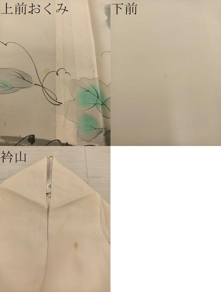 平和屋着物＊夏物　訪問着　絽　手描き　葡萄蔦の葉文　正絹　逸品　BAAX8153mz