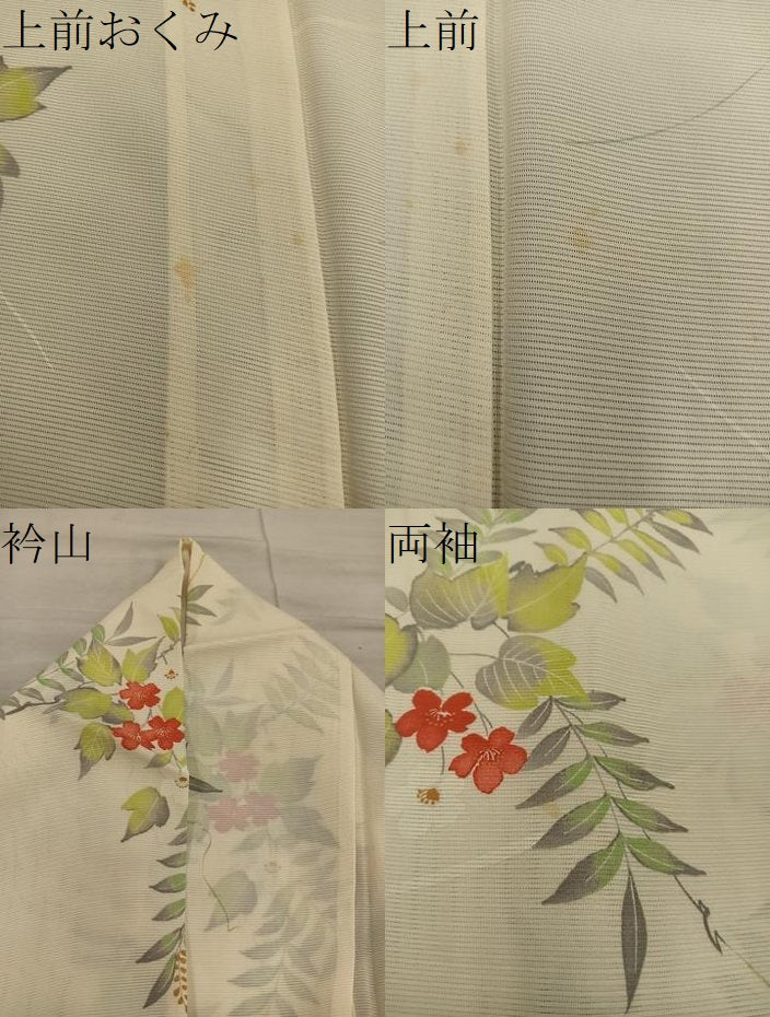 平和屋着物＊夏物　小紋　絽　枝桜文　正絹　逸品　BAAX8158mz