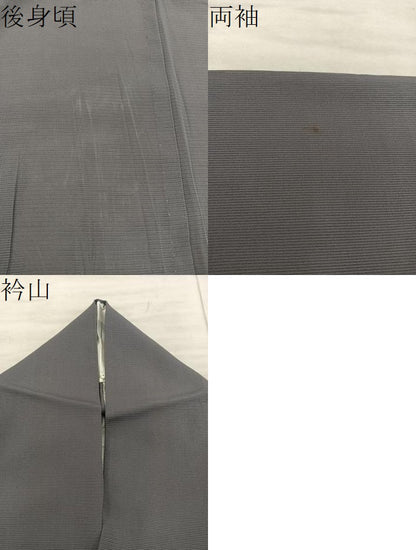 平和屋着物＊夏物　訪問着　絽　秋草文　正絹　逸品　BAAX8162mz