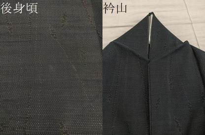 平和屋着物＊夏物　本場大島紬　夏大島　草葉文　正絹　逸品　BAAX8166mz