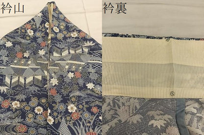 平和屋着物＊夏物　小紋　絽　風景花文　正絹　逸品　BAAX8169mz