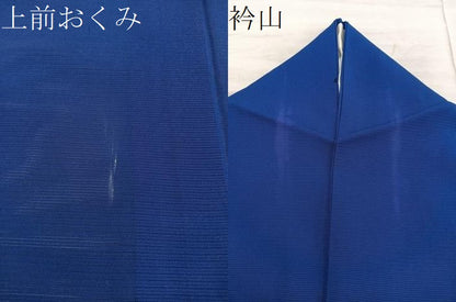 平和屋着物＊夏物　訪問着　手描き　絽　葡萄蔦の葉文　正絹　逸品　BAAX8170mz