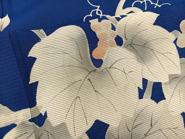 平和屋着物＊夏物　訪問着　手描き　絽　葡萄蔦の葉文　正絹　逸品　BAAX8170mz