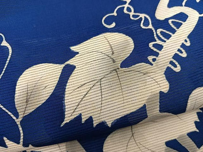 平和屋着物＊夏物　訪問着　手描き　絽　葡萄蔦の葉文　正絹　逸品　BAAX8170mz
