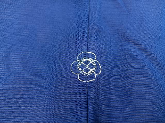 平和屋着物＊夏物　訪問着　手描き　絽　葡萄蔦の葉文　正絹　逸品　BAAX8170mz