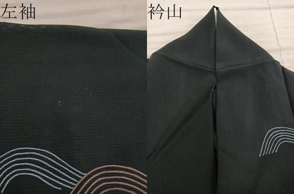 平和屋着物＊夏物　訪問着　絽　流水文　黒地　正絹　逸品　BAAX8176mz