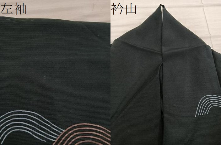 平和屋着物＊夏物　訪問着　絽　流水文　黒地　正絹　逸品　BAAX8176mz