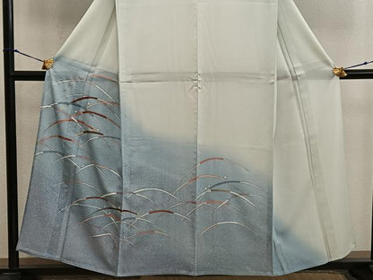 平和屋着物＊夏物　訪問着　絽　露芝文　暈し染め　正絹　逸品　BAAX8179mz