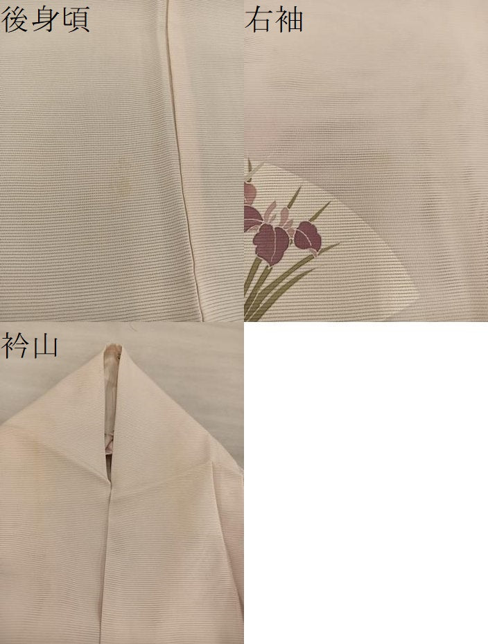 平和屋着物＊夏物　訪問着　絽　友禅　地紙牡丹花文　正絹　逸品　BAAX8182mz