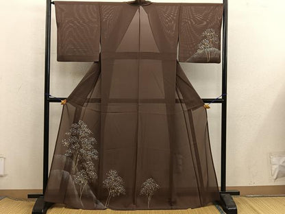 平和屋着物＊夏物　訪問着　絽　枝花文　金彩　正絹　逸品　BAAX8184mz