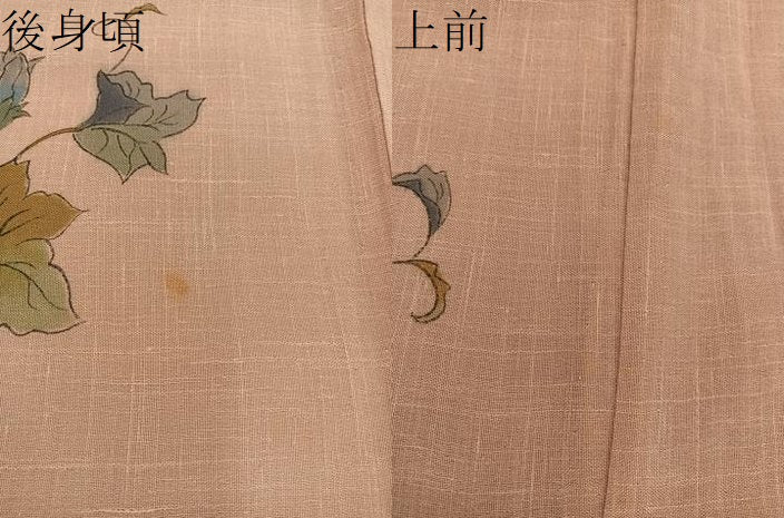 平和屋着物＊夏物　訪問着　紗紬　手描き　草花文　正絹　逸品　BAAX8190mz