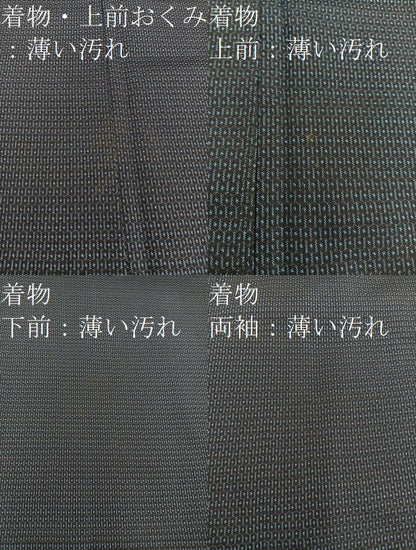 平和屋着物■男性　本場大島紬　アンサンブル　100亀甲　総詰め　正絹　逸品　BAAX8200mz