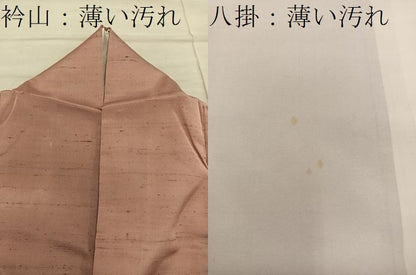 平和屋着物■訪問着　紬地　刺繍　菊花文　暈し染め　正絹　逸品　BAAX8222mz