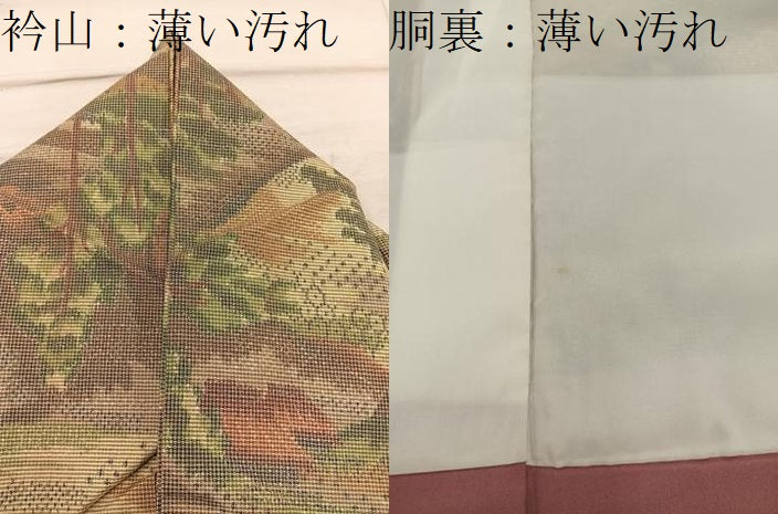 平和屋着物■上質な紬　風景文　正絹　逸品　BAAX8245mz