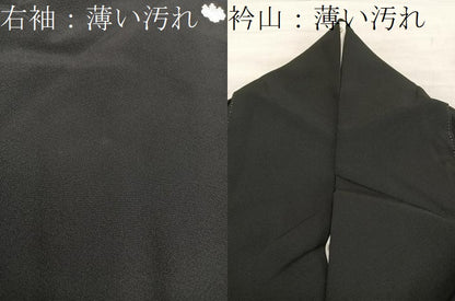 平和屋着物■豪華黒留袖　作家物　刺繍　鴛鴦花文　金彩　正絹　逸品　BAAX8261mz