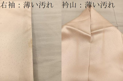 平和屋着物■訪問着　孔雀　正絹　逸品　BAAX8268mz