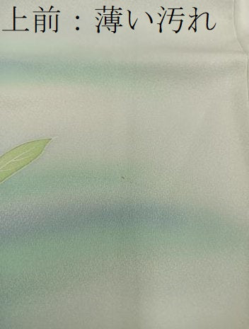 平和屋着物■訪問着　刺繍　枝花文　暈し染め　やまと誂製　正絹　逸品　BAAX8299mz