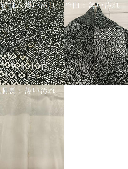 平和屋着物■上質な小紋　亀甲花文　黒地　正絹　逸品　BAAX8306mz