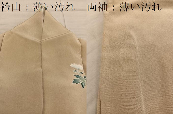 平和屋着物■訪問着　友禅　枝花文　暈し染め　正絹　逸品　BAAX8310mz