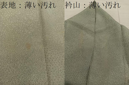 平和屋着物■江戸小紋　寄せ小紋柄　正絹　逸品　BAAX8328mz