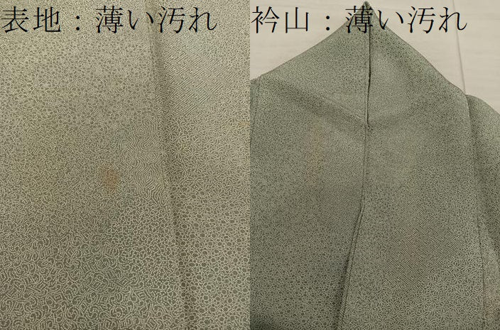 平和屋着物■江戸小紋　寄せ小紋柄　正絹　逸品　BAAX8328mz