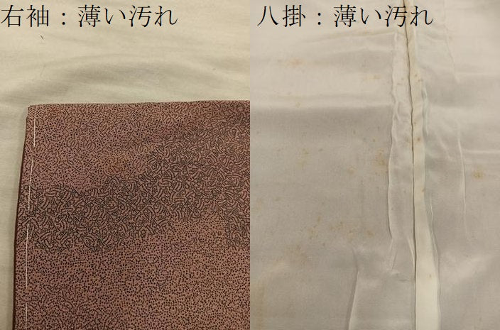平和屋着物■江戸小紋　作家物　寄せ小紋柄　正絹　逸品　BAAX8379mz