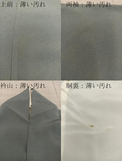 平和屋着物■訪問着　総刺繍　動物花文　金糸　鬼しぼ縮緬　ますいわ屋扱い　正絹　逸品　BAAX8397mz