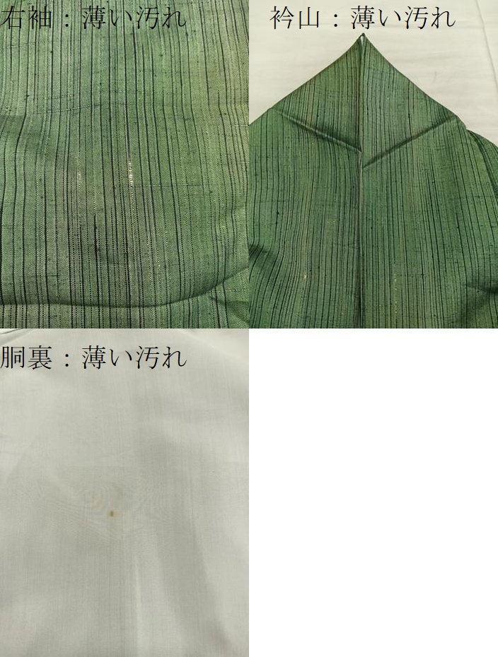 平和屋着物■上質な紬　霞文　正絹　逸品　BAAX8408mz