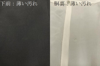 平和屋着物■上質な小紋　横段文　黒地　正絹　逸品　BAAX8472mz