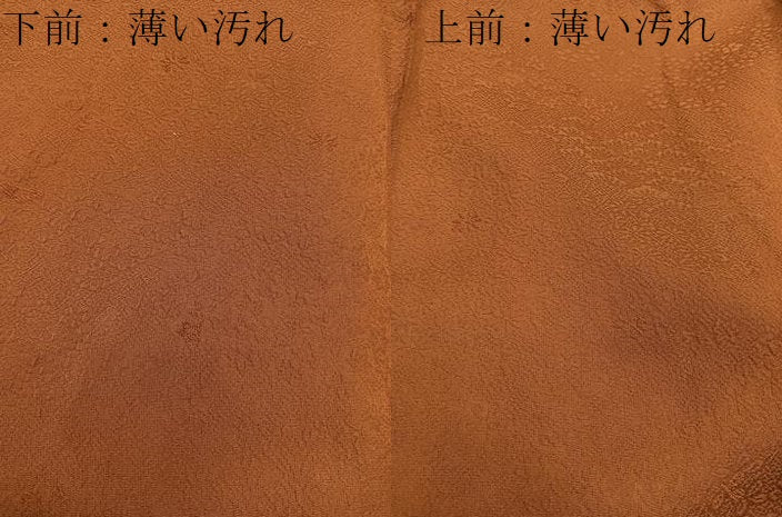 平和屋着物■上質な色無地　草花地紋　唐茶色　正絹　逸品　BAAX8529mz