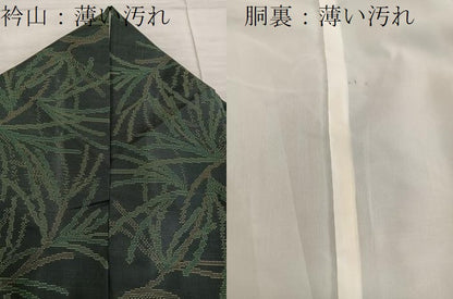 平和屋着物■本場大島紬　草葉文　正絹　逸品　BAAX8546mz