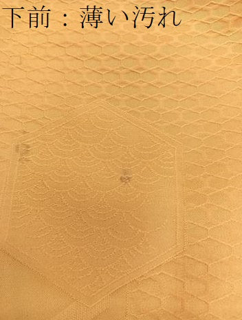 平和屋着物■上質な色無地　胴抜き仕立て　亀甲地紋　柑子色　正絹　逸品　未使用　BAAX8581mz