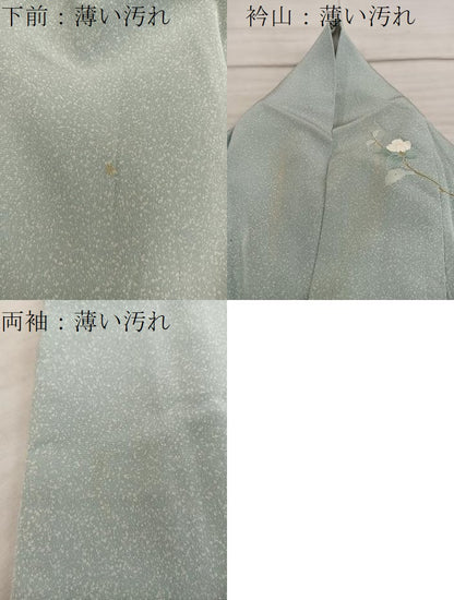 平和屋着物■訪問着　友禅　枝椿　正絹　逸品　BAAX8598mz