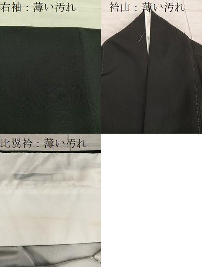 平和屋着物■豪華黒留袖　群鶴菊花文　金彩　正絹　逸品　BAAX8603mz