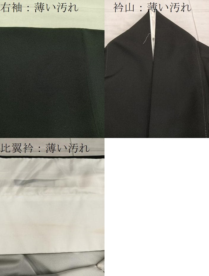 平和屋着物■豪華黒留袖　群鶴菊花文　金彩　正絹　逸品　BAAX8603mz