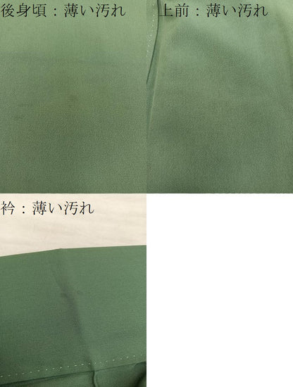 平和屋着物■色留訪問着　螺鈿　風景花文　暈し染め　金彩　正絹　逸品　BAAX8611mz
